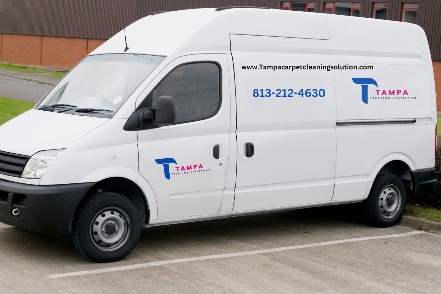 A white van is parked outside a building, promoting a carpet and rug cleaning service located in Tampa, FL.