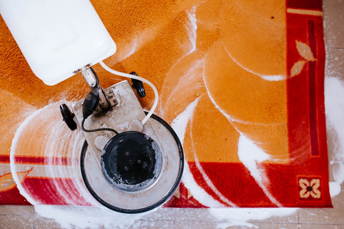 A person using a carpet cleaning machine to clean a carpet in a residential setting.